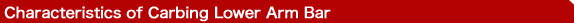 CARBINGLower Arm BarΜΑ₯